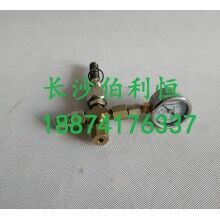 批發(fā)原裝正品攪拌機(jī)配件，三一JX3000潤(rùn)滑油泵芯